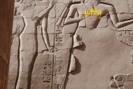 Богиня Мут стоит за Рамсеса с цветочком папируса в своих руках. Она дарит фараону кобру Урей, носившая в руках ключ жизнь и символ господства.