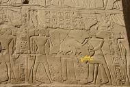 Рамсес II, стоя перед моделью, представляет храм и собирается посвятить храм хозяину Амона-Ра.