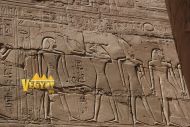 После ритуала омовения, фараона проводят боги Атом и Хонсу к Амону который дальше справа изображен сидящий на троне в своем алтаре.