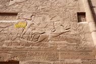 Сети рисуется стоящим на боевой колеснице, парная упряжь которой носит имя «Победоносен Амон».
